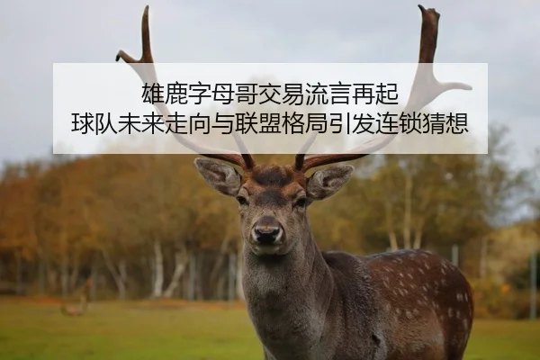 雄鹿字母哥交易流言再起 球队未来走向与联盟格局引发连锁猜想